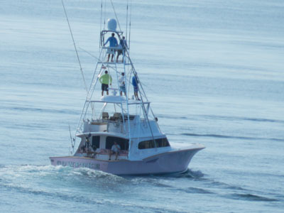 Fishing Charters on Hutchinson Island Florida, Boat Charters, Deep Sea Fishing, Fishing Guides in Fort Pierce, Jensen Beach and Stuart FL