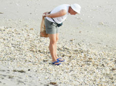 Shelling and Beachcombing on Hutchinson Island